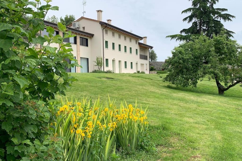 Вилла Casa Cedro - Il Brolo Cavaso Del Tomba Экстерьер фото